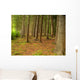 Forest Wall Mural