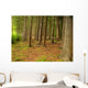 Forest Wall Mural