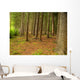Forest Wall Mural