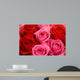 Pink and Red Roses Bouquet Wall Mural