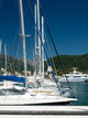 Marina Wall Mural