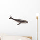 Humpback Whale Wall Decal