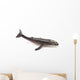 Humpback Whale Wall Decal