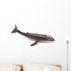 Humpback Whale Wall Decal
