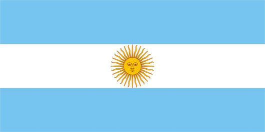 Flag Argentina Wall Decal