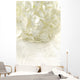 White hydrangea Wall Mural