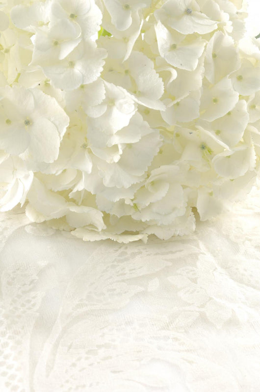 White hydrangea Wall Mural