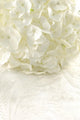 White hydrangea Wall Mural