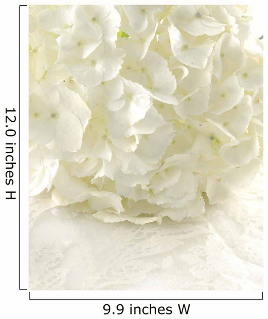 White hydrangea Wall Mural