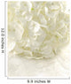 White hydrangea Wall Mural