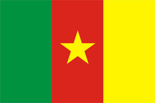 Flag Cameroon Wall Decal