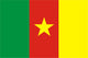 Flag Cameroon Wall Decal