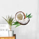coconut Wall Decal