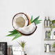 coconut Wall Decal