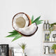 coconut Wall Decal