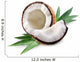 coconut Wall Decal