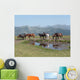 Horses Wall Mural