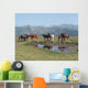 Horses Wall Mural
