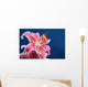 Pink stargazer lily Wall Mural