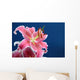 Pink stargazer lily Wall Mural