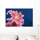 Pink stargazer lily Wall Mural