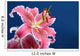 Pink stargazer lily Wall Mural