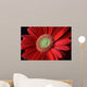 Flower Wall Mural