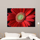 Flower Wall Mural