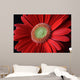 Flower Wall Mural