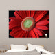 Flower Wall Mural