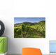 Vineyards in Wachau Wall Mural