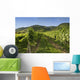 Vineyards in Wachau Wall Mural