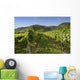 Vineyards in Wachau Wall Mural