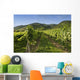 Vineyards in Wachau Wall Mural