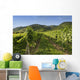 Vineyards in Wachau Wall Mural