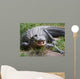 Crocodile or Alligator Wall Decal