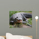 Crocodile or Alligator Wall Decal
