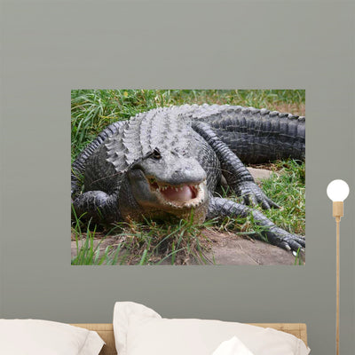Crocodile or Alligator Wall Decal shown on a wall