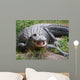 Crocodile or Alligator Wall Decal