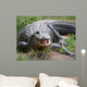 Crocodile or Alligator Wall Decal