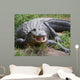 Crocodile or Alligator Wall Decal