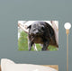Binturong Wall Decal