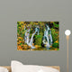 Mountain Waterfall Autumn Wall Mural