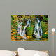 Mountain Waterfall Autumn Wall Mural
