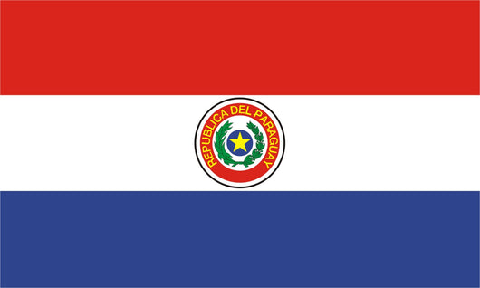 Flag Paraguay Wall Decal