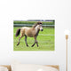 Mini Shetland Pony Iii Wall Mural