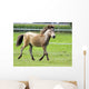 Mini Shetland Pony Iii Wall Mural