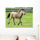 Mini Shetland Pony Iii Wall Mural