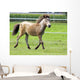 Mini Shetland Pony Iii Wall Mural