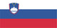 Flag Slovenia Wall Decal